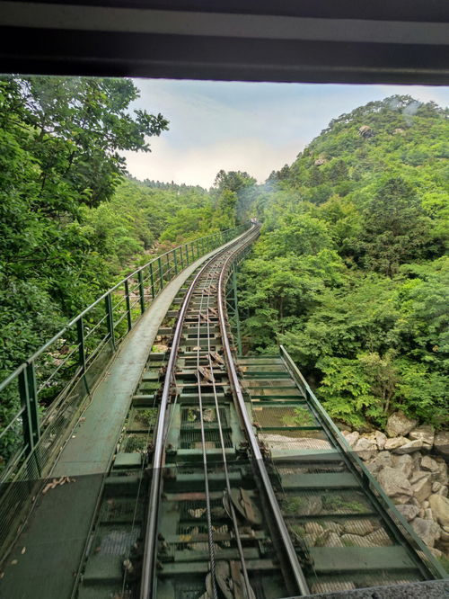 庐山两天一夜 保姆级 攻略 6月10日 11 