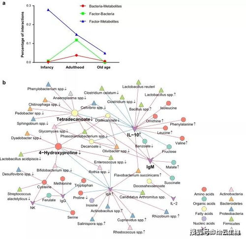 代谢组 微生物组 免疫因子关联分析揭示大鼠机体随年龄变化规律