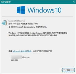 win10记事本安装版