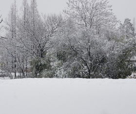 女人梦见雪有什么预兆,女人梦见雪？-第1张图片