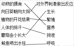 1 2 题目和参考答案 青夏教育精英家教网 