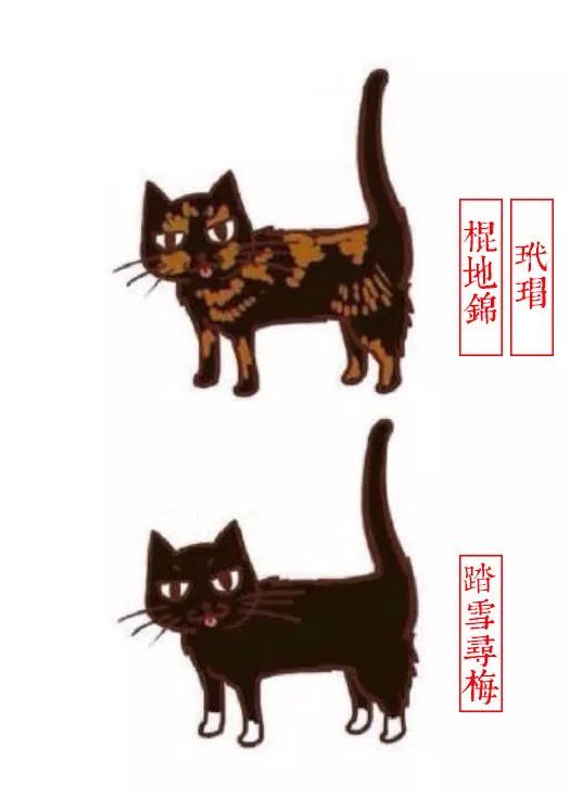 Out了,原来花色不同的猫,还有这么多叫法... 