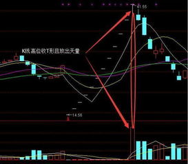 “细价股（small cap stocks）”指的是哪一类股票？请高手做答。