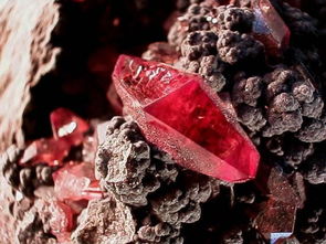 红宝石被神认为是12种石头中最珍贵的一种