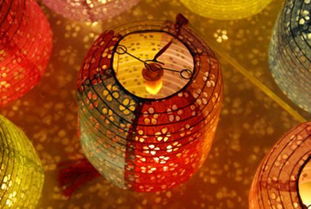 东莞春节的气氛越来越浓 周末需要您一起来DIY最漂亮的灯笼 