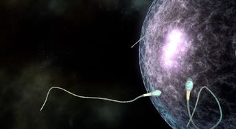 科学家用 星球大战 的创意展示了精子与卵子结合的过程 