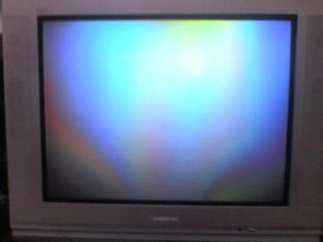 电视突然之间没图像了,屏幕是花的,但是有声音 可能是哪些方面的问题呢 电视的品牌是长虹 