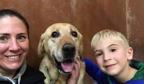 6岁小男神一年为800只流浪狗找家,把生日礼物变成给流浪狗的礼物