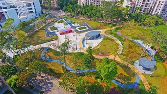 好消息 深圳多个主题公园开园 首个宠物公园 交通公园亮相......