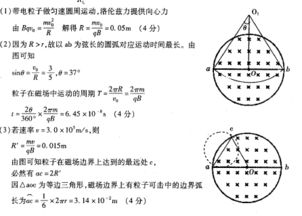 如图所示,在真空中半径r 3.0 10 2 m的圆形区域内,有磁感应强度B 0.2T 方向垂直向里的匀强磁场,带 