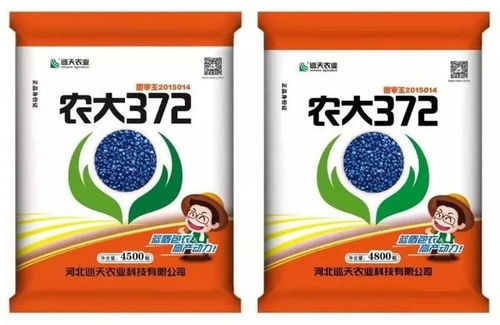 农大372玉米品种名正言顺,生产繁殖 经营销售终有归宿