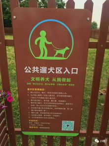 杭州首批三个公共遛狗区试点开放,分别在拱墅康桥 余杭和钱塘新区