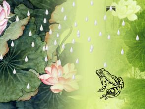 关于下雨青蛙的诗句