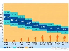 人在哪个年龄段做梦多