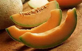 哈密瓜种子什么时候种,哈密瓜是一种受欢迎的水果，其甜美的口感和丰富的营养价值备受人们喜爱