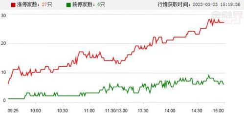 鸿博股份在算力概念股震荡中涨停