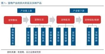 研报笔记 中国宠物行业未来增长动力来自这些地方 