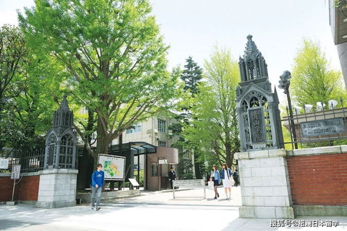 青山学院大学 信息图文欣赏 信息村 K0w0m Com