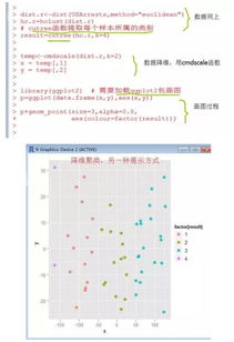 r语言聚类分析的应用案例,R语言聚类分析在市场细分中的应用案例