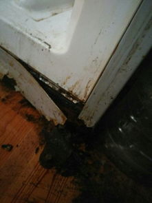 家里冰箱门掉下了,看看铁皮烂了,质量不好,怎么补 