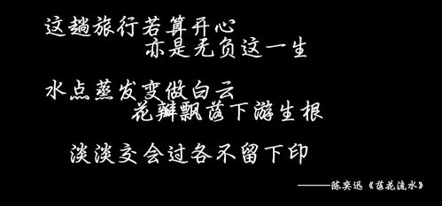 你喜欢所长那首歌中的那句歌词