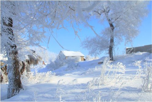 诗句有关于冬天景色的作文