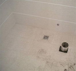 卫生间地漏漏水怎么处理 卫生间地漏怎么挑选