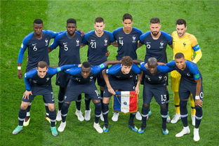 法国队世界杯阵容非洲男篮世界杯法国阵容