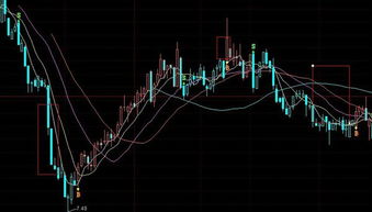 谁能告诉我 这个股票图上画圈的各种线 和方框都代表什么意思