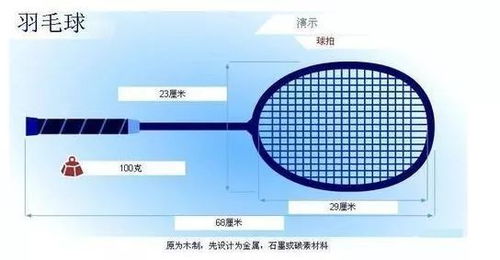 球友们应该要知道的羽毛球丨基础知识 