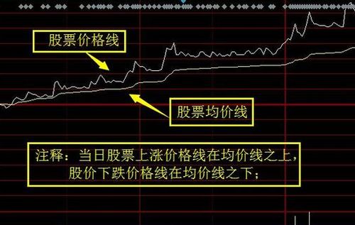 什么是挂盘?不是股票里的那个“挂盘”