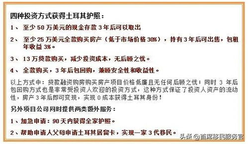 申请土耳其签证需要翻译材料吗(办理土耳其的签证需要什么条件)