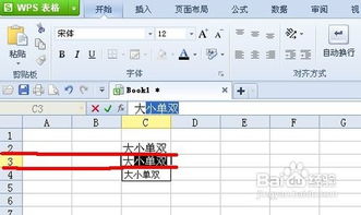 空格键在wps office表格输入中的妙用 