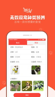 领狗狗下载 领狗狗app下载 苹果版v4.0 PC6苹果网 