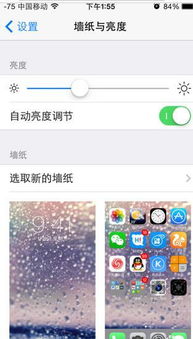 iphone6 壁纸能自动切换吗 