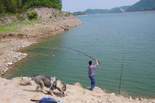夏天要这样选钓位才行,别提上鱼率有多高 垂钓一下午钓获十斤鱼 