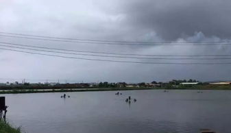 各地暴雨成灾 连绵阴雨 暴雨等恶劣天气,水产养殖户该如何护理水质