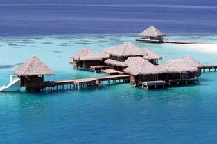 马尔代夫12月旅游 12月份去哪里旅游最好呢
