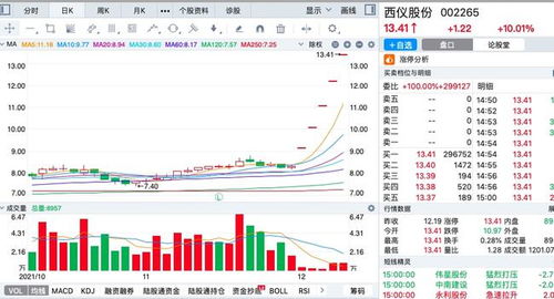 股票账户显示可以申购的新股数量20000股 原来的股票市值有多少