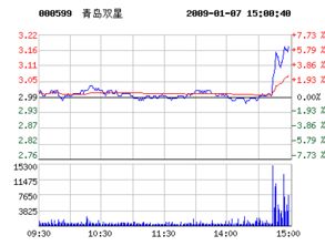 青岛双星今天可以买进吗?在什么价位比较合适