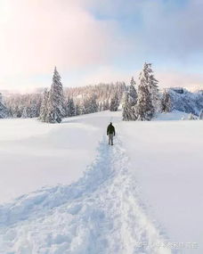 冬日如何拍摄雪景 