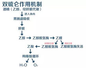 双硫仑反应怎么处理