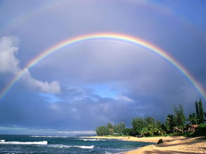 在梦中见到了彩虹是什么预兆呢