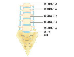 曲度腰椎治疗仪 四类疼痛是腰突症状,如何防治