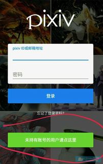 pixiv官网入口登录安卓 pixiv官网入口登录安卓 词条