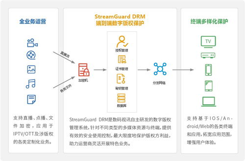 SafeNet 护航数字版权