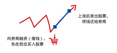 请教个问题，关于融资融券，当我要融资时，是不是持有某只标的股票，只能融资买入这只股票？