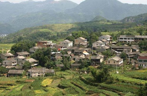 农村宅基地确权登记遗漏了怎么办(1991年农村宅基地确权漏办了)