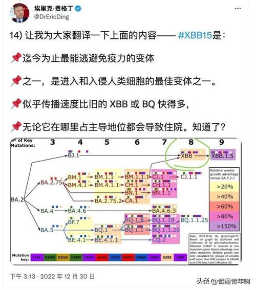 美国流行毒株XBB.1.5逃逸能力极强 ,全面放开的我国能否守好大门