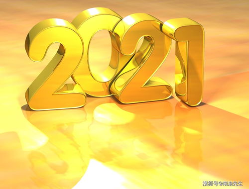 南渝先生 2021年 生肖鸡 农历二月运势